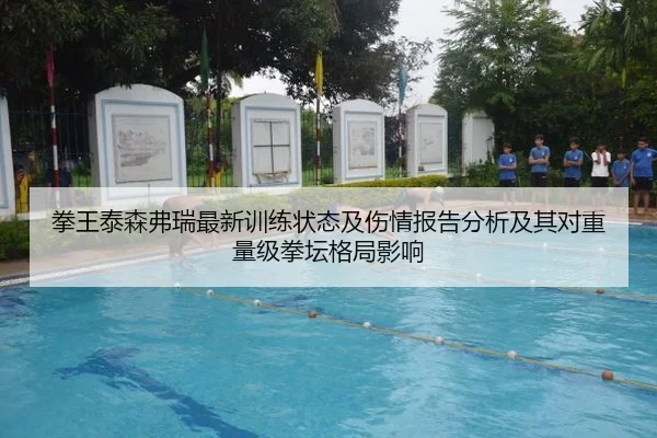 拳王泰森弗瑞最新训练状态及伤情报告分析及其对重量级拳坛格局影响